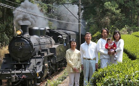 お茶 佐京園 深蒸し新茶 大入り ティーバッグ 3袋 お茶