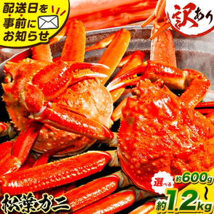 ＼12/23決済完了分まで年内配送／訳あり カニ 松葉ガニ 足1本なし 600g 1杯分 1.2kg 2杯分《2025年11月中旬-2026年3月中旬頃出荷》鳥取県 八頭町 送料無料  蟹 かに 姿 鍋 ズワイガニ 松葉ガニ ズワイ蟹 ボイル 冷蔵便 松葉蟹 海鮮 魚介  2人前