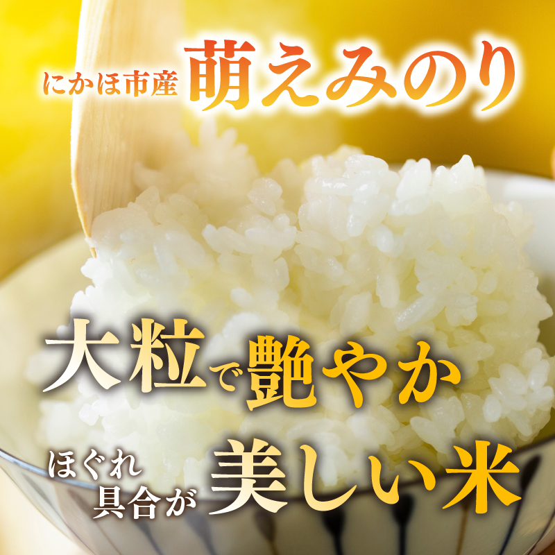 【新米先行予約】【6か月定期便】 萌えみのり 精米 5kg 【令和8年度産精米 白米 米 コメ お米 おこめ ブランド米 ご飯 ごはん 秋田 にかほ】