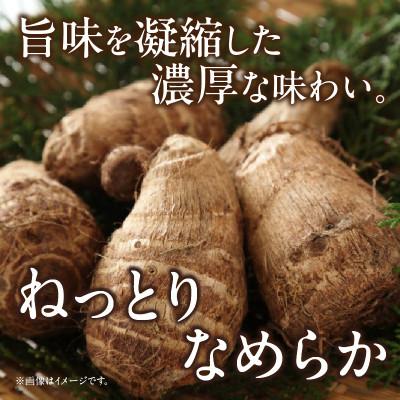 ふるさと納税 西尾市 絶品里芋　〜天晴れ〜　4kg・S067 |  | 01