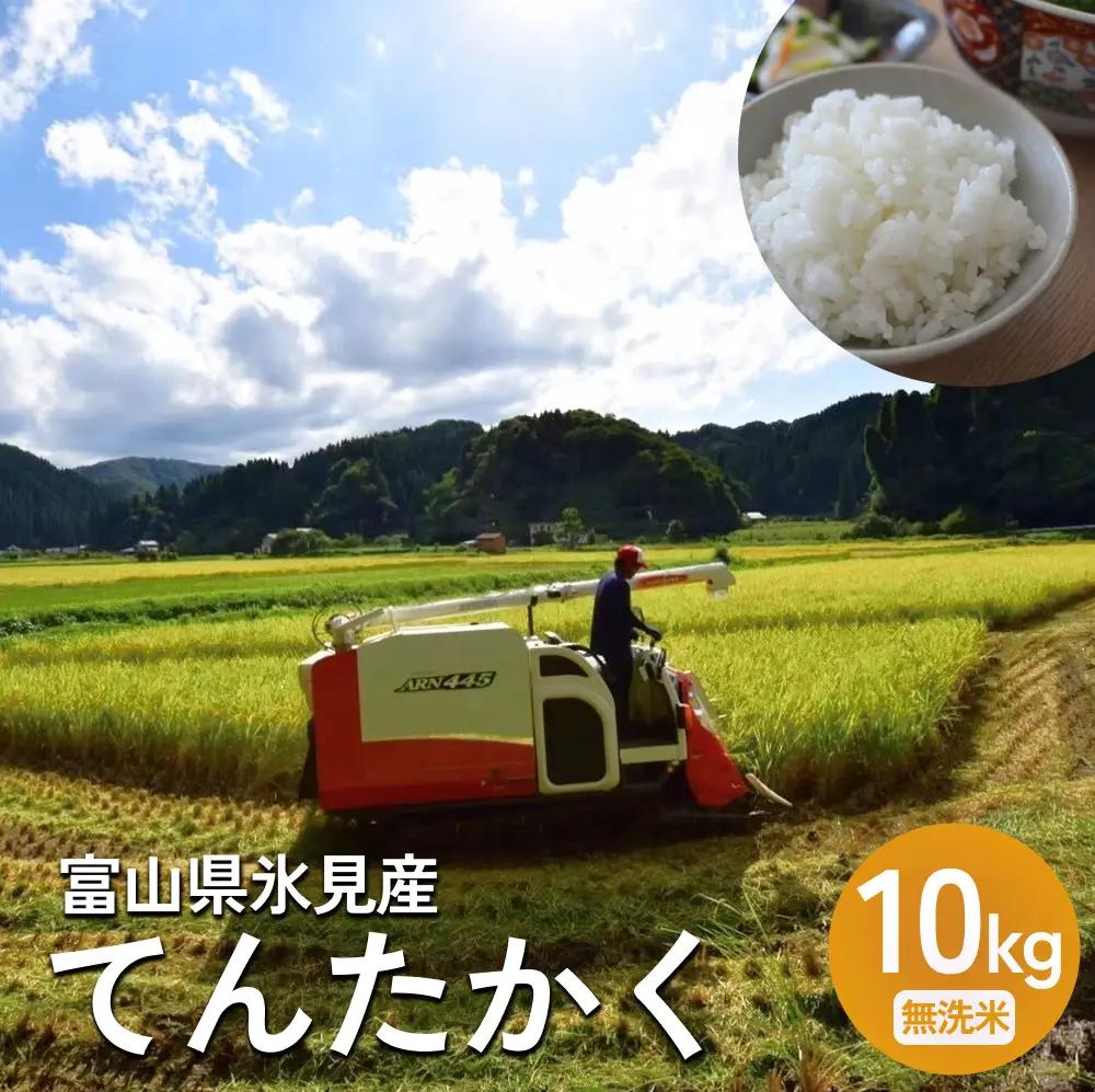 〈無洗米〉 米 令和7年産 富山県氷見産 てんたかく 10kg ｜無洗米