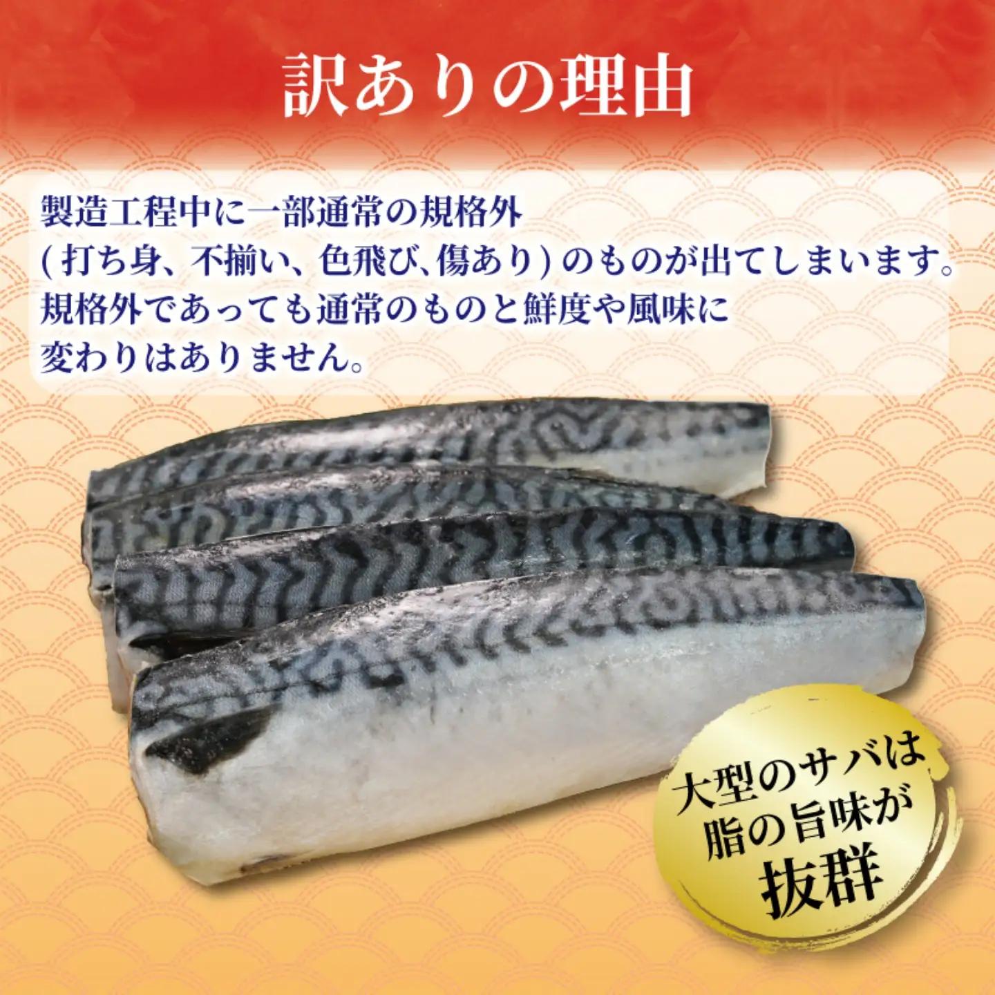 訳あり 塩鯖 3㎏ 鯖