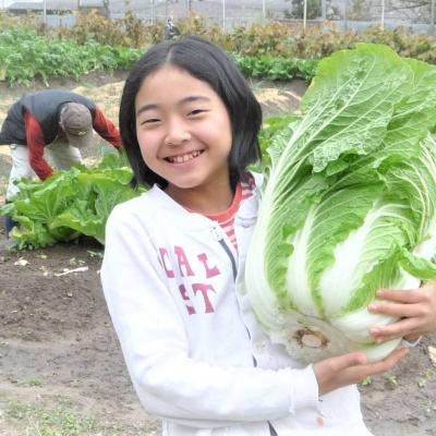 ふるさと納税 安芸高田市 安芸高田市の小さな農家お届けするふるさと旬野菜セット[No5895-0194] |  | 03