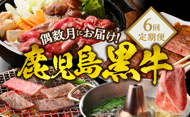 偶数月にお届け！鹿児島黒牛定期便 6回定期便　W032-017u
