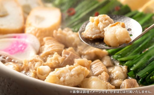 【定期便5か月】 もつ鍋 4人前×5回 ホルモン うどん モツ鍋