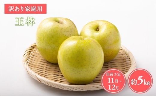 
                  ≪令和8年産先行受付≫家庭用王林約5kg【青森県 平川市 山内ファーム】家庭用 平川市産 青森りんご りんご リンゴ 林檎 完熟 おうりん オウリン お取り寄せ 先行予約 果物 くだもの フルーツ 
                