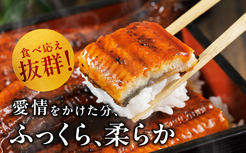 【ANA限定】国産うなぎ 3尾 480g以上 大サイズ【えびす鰻 うなぎ ウナギ 国産 泉佐野産 1尾160g以上 蒲焼き かばやき 冷凍 うな重 ひつまぶし 惣菜 先行予約】