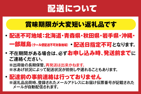 【先行予約】【柴山産 活け タグ付 柴山ガニ 生 900g ～1㎏ 1匹 冷蔵】11月中旬以降配送予定 水揚げの関係上、配達日の指定はできません 香住で水揚げされた新鮮な活松葉ガニをお届け カニの本場