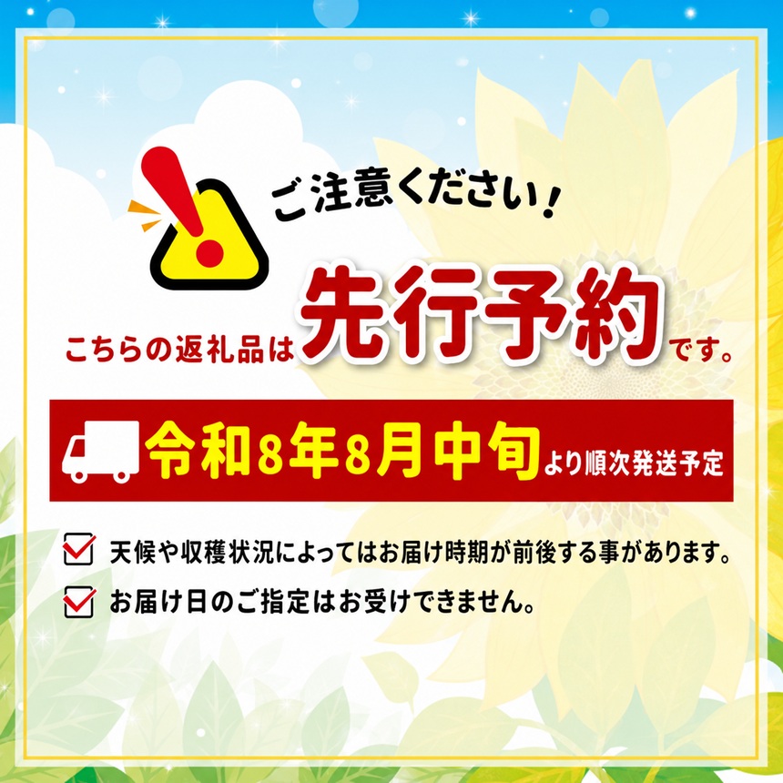 南信州産 梨 約5kg ＜ 幸水 ・ 豊水 ＞ いずれか1品種 おまかせ ＜2026年8月中旬～9月中旬発送＞| 梨 なし ナシ 幸水 豊水 果物 くだもの フルーツ 長野県 信州 南信州 飯田