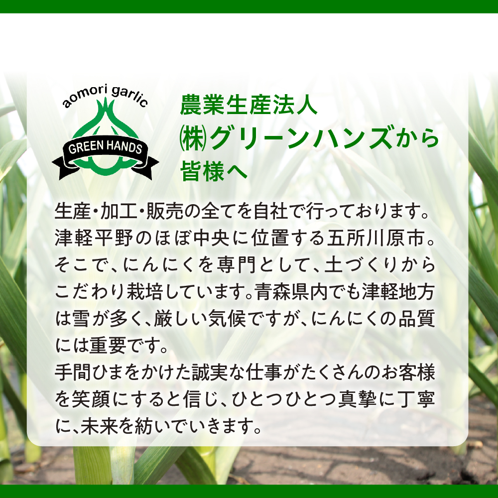 ガーリックオイル にんにくチップ入り (140g×2袋) 青森県産にんにく使用 ガーリックオリーブオイル 調味料
