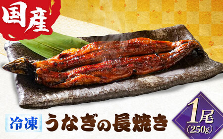 国産うなぎの長焼き 1尾 鰻 たれ 肉厚 岐阜市 / 本格炭焼うな吉[ANHH001]