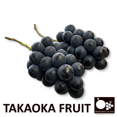 【ふるさと納税】「産地より信州中野の旬をお届け」 ナガノパープル　PREMIUM　約1.2kg　【配送不可地域：離島】【1311111】