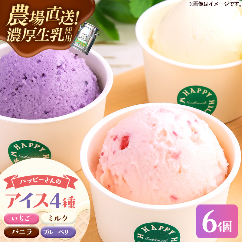 ハッピーさんのアイス 4種類6個入り アイスクリーム カップ スイーツ あいす セット ギフト プレゼント 贈り物 夏 ミルク バニラ ストロベリー ブルーベリー 農場直送 冷凍 岩手県 岩手町