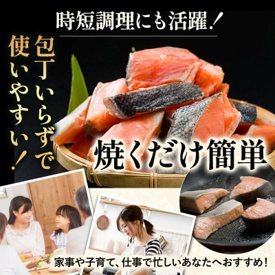 訳あり塩銀鮭切り身 600g(300g×2袋)【V003250P2】【配送不可地域：離島】【1721725】