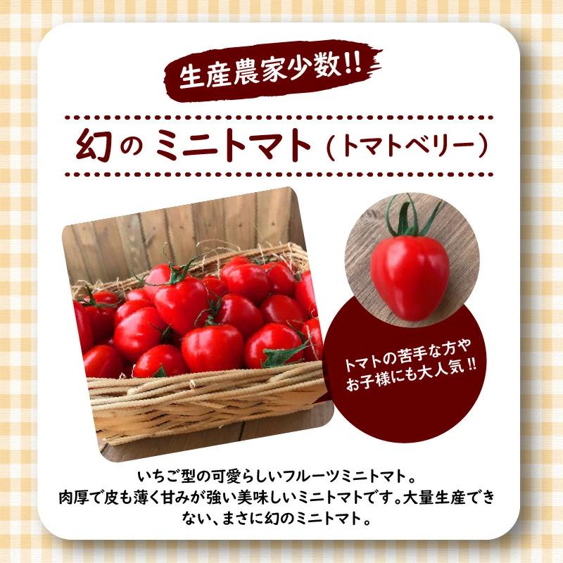 【2026年度予約分】あま～いトウモロコシ＆トマトベリー　長田農園しかできない夢の共演 【個数限定】 野菜ソムリエサミット 金賞 受賞 長田農園 産地直送 トマト とまと 野菜 やさい フルーツ サラ