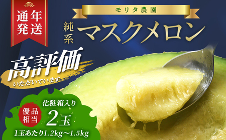 【通年栽培】純系マスクメロン２玉（化粧箱入）【５月発送分】