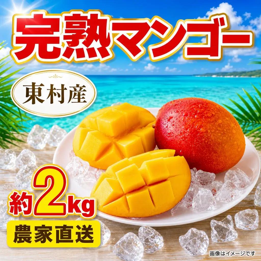 マンゴー 約2kg 完熟マンゴー 農家直送