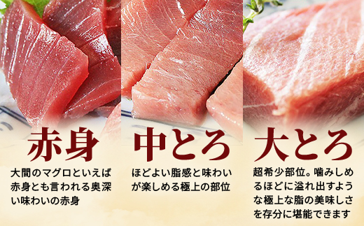 大間産本マグロ 3種セット(大トロ・中トロ・赤身) 合計600g前後【配送不可地域：離島】