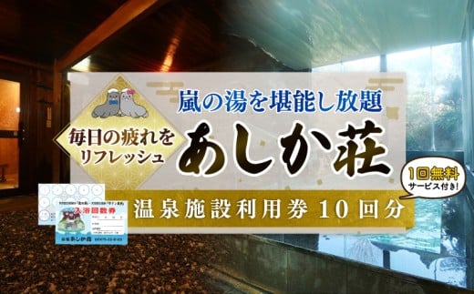 温泉 あしか荘 日帰り 入浴券 11回分 温泉券 ホテル 宿泊 宿泊券 宿泊ギフト券 宿泊チケット チケット 旅行 旅 観光 りょこう 海 おすすめ 日の出 銚子 絶景 非日常 温泉 料理 海鮮 犬吠埼 海岸 サウナ 岩盤浴 GW お盆 年末年始 休暇 リフレッシュ ギフト お祝い 贈り物 贈答 プレゼント サプライズ ふるさと納税 ふるさと納税温泉 ふるさと納税ホテル 千葉県 銚子市 あしか荘