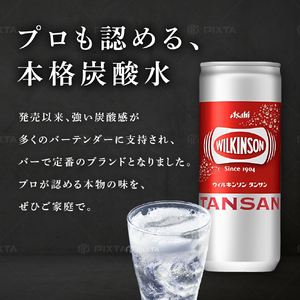 炭酸水 ウィルキンソン タンサン 250ml （20本入×2） ウィルキンソン炭酸 缶 箱 炭酸 水 炭酸飲料 ドリンク 飲料 ソーダ水 災害 防災 備蓄 ローリングストック 非常用 備蓄用 常温 常