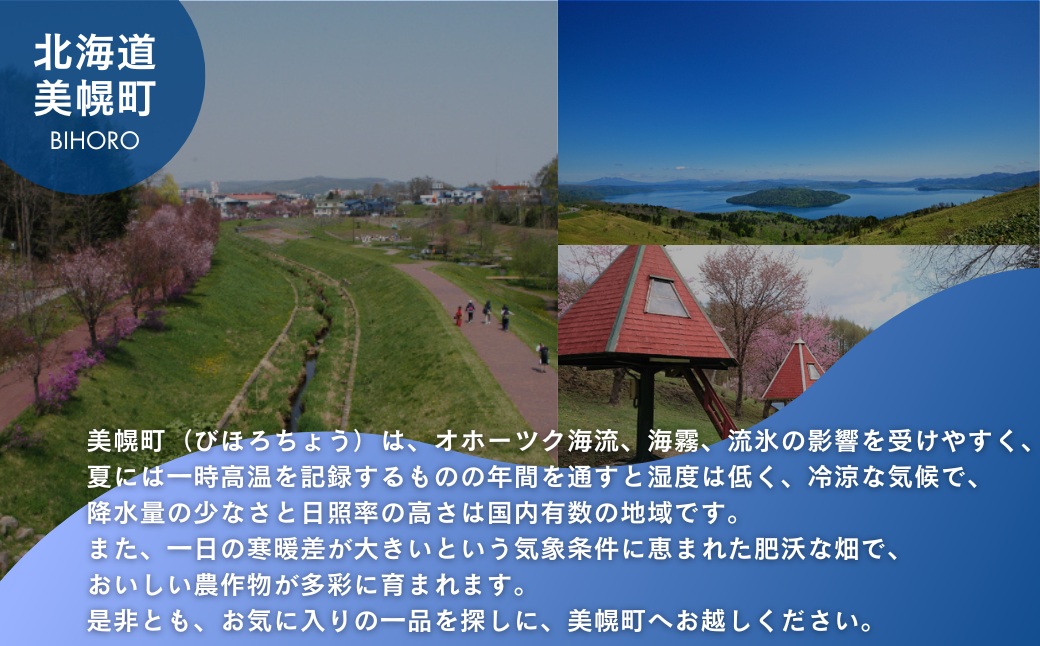 【先行予約】希少な純国産!100%びほろ産でつくられたこだわりのメープルシロップ 1本 （令和7年5月10日頃より順次発送） BHRG073