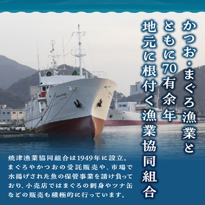 焼津ミナミマグロBコース (a24-038)