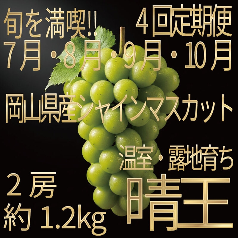 
                  [HS]【定期便全4回】ぶどう先行予約7月・8月・9月・10月発送温室シャインマスカット晴王2房（合計約1.2kg）ブドウ 葡萄  岡山県産 国産 フルーツ 果物 ギフト デザート 食後 酸味が少ない 産地直送
                