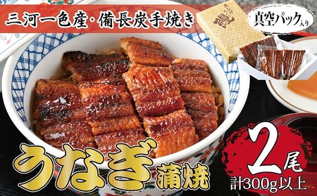 うなぎ 三河一色産 備長炭手焼き 蒲焼 うなぎ【蒲焼2尾】