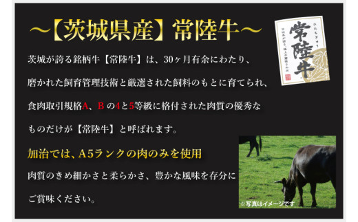 【6ヶ月定期便】【常陸牛 A5ランク・ローズポークステーキセット】常陸牛サーロインステーキ200g＋ローズポークロースステーキ280g（140g×２枚） 冷凍 国産牛 和牛 牛肉 豚肉　ブランド豚 茨