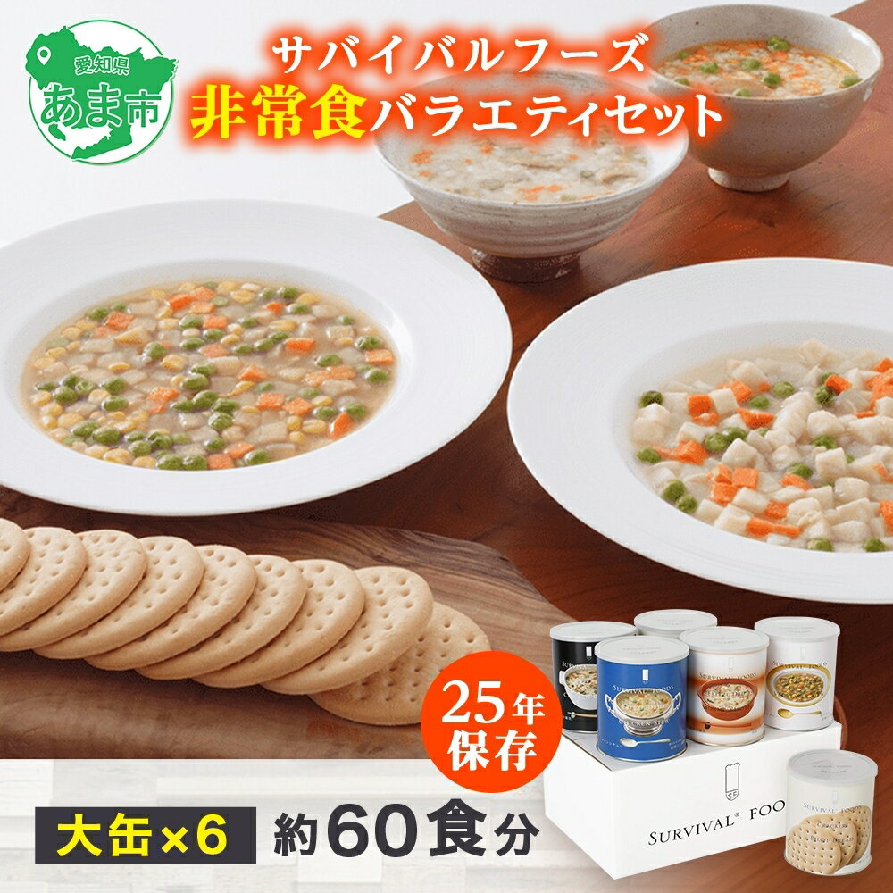 【ふるさと納税】賞味期限25年 非常食 バラエティセット 大缶6缶 詰合せ 約60食分 缶切り付 サバイバルフーズ クラッカー シチュー 雑炊 美味しい 常温保存 防災 非常用 非常用食品 災害食 防災グッズ 災害対策 フリーズドライ 送料無料 セイエンタプライズ 愛知県 あま市