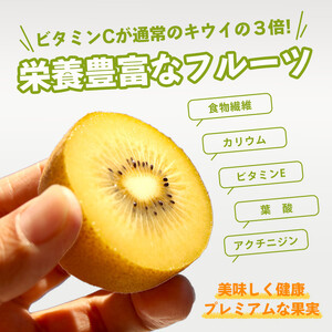 先行予約 キウイフルーツ さぬきゴールド 約900g キウイ