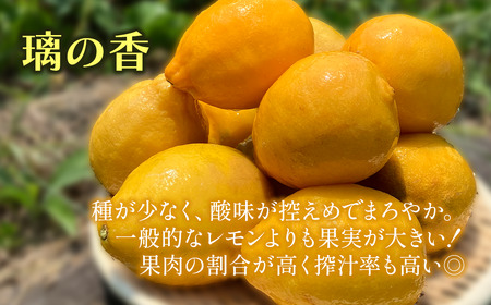 有機レモン 璃の香 2㎏【先行予約・11月下旬～1月発送】レモン オーガニック 国産 愛媛県 西条市