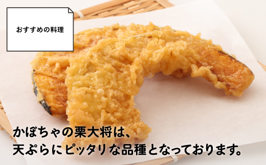 【先行予約】北海道 豊浦町 かぼちゃ 栗大将 約10kg 5～7玉（2025年9月の収穫後より順次発送） TYUL003