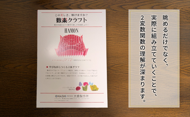 数楽クラフトセット PEGASUSI 波紋 2つの2変数関数のセット 数楽アート 数楽クラフト 組み立て 数学 数式の美しさ 馬の鞍 三角関数 アート オブジェ 立体グラフ 多変数関数 2変数関数 ユ