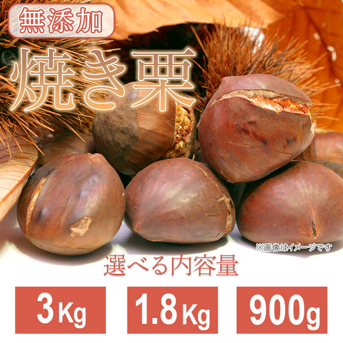 【ふるさと納税】栗 くり 焼き栗 無添加 先行予約 内容量が選べる 900g 1.8kg 3kg 茨城県産 国産 小分け 低温熟成 数量限定 茨城県産焼き栗【ウエノファーム】