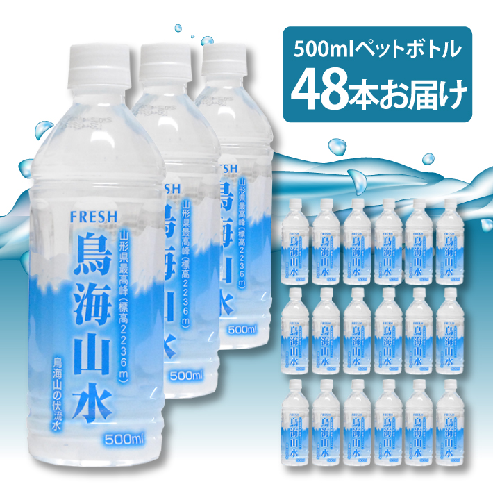 SE0009　鳥海山水　500ml×24本入り　4ケース