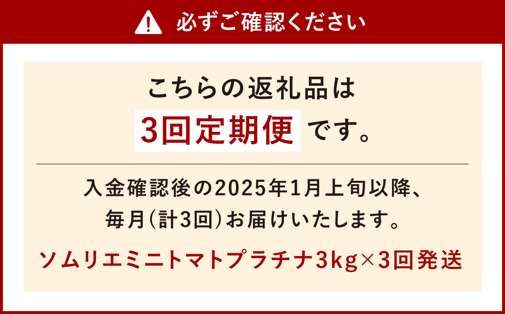 【年3回定期便/2025年1月発送開始】 ソムリエ ミニトマト プラチナ 3kg×3回 合計9kg とまと トマト 野菜 やさい 熊本県産 国産