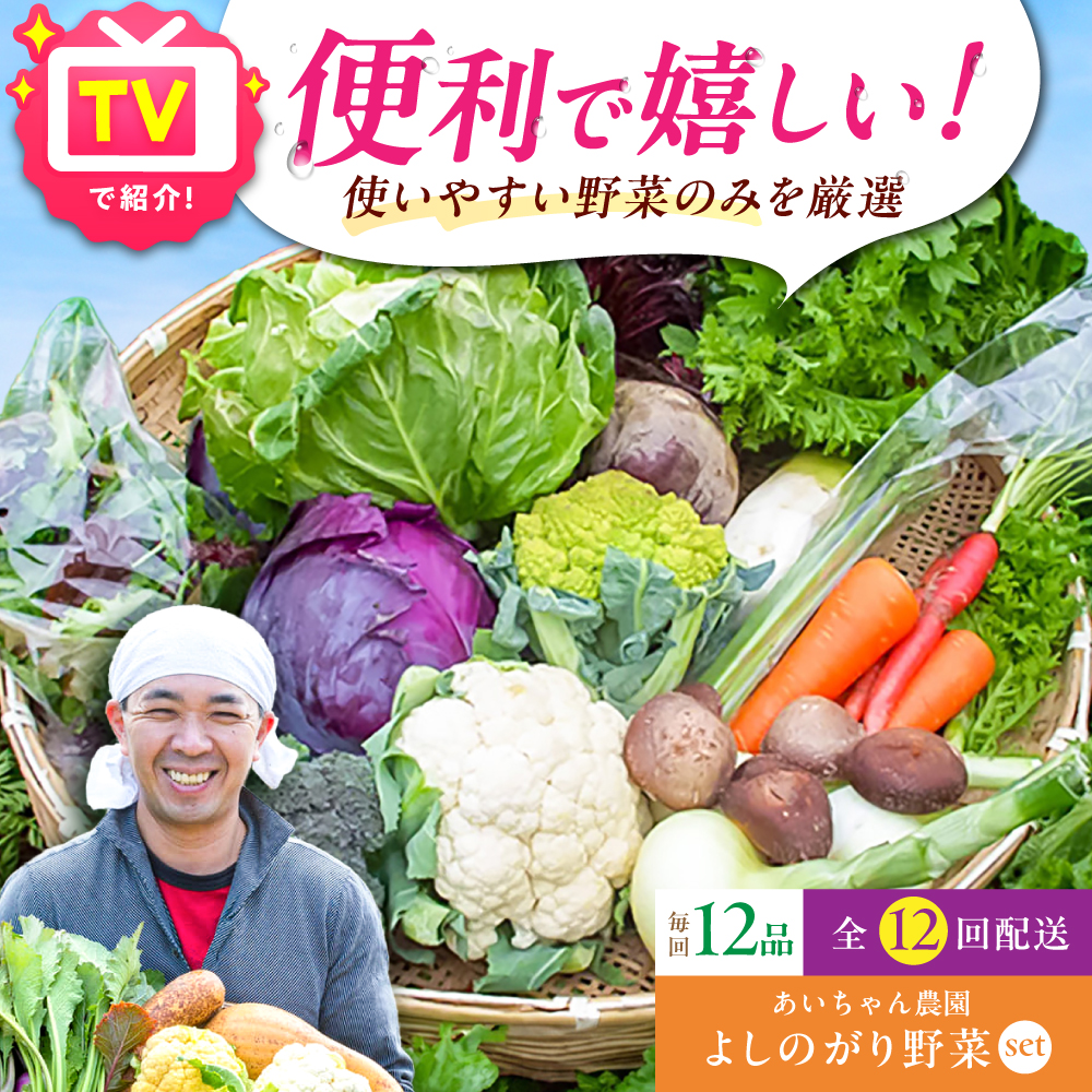【12品 / 12回定期便】あいちゃん農園の「よしのがり野菜」セット（レギュラー） [FAA006]