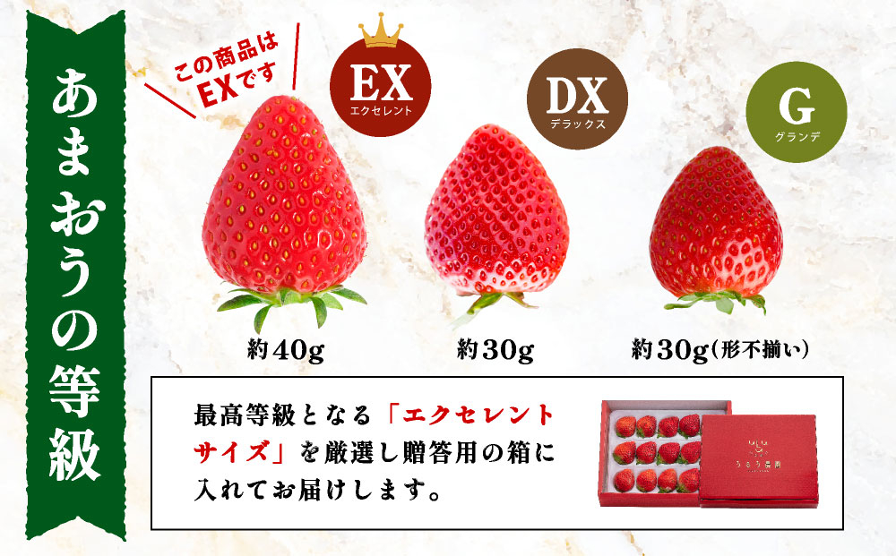 特選あまおう　400g 特選あまおう　400g