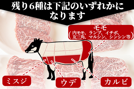 ＜宮崎牛焼肉9種盛（約630g）＞翌月末迄に順次出荷【 牛肉 和牛 黒毛和牛 肩ロース モモ ウデ 赤身 霜降り 国産 食べ比べ バーベキュー 食べ比べ 】【a0479_em_x3】
