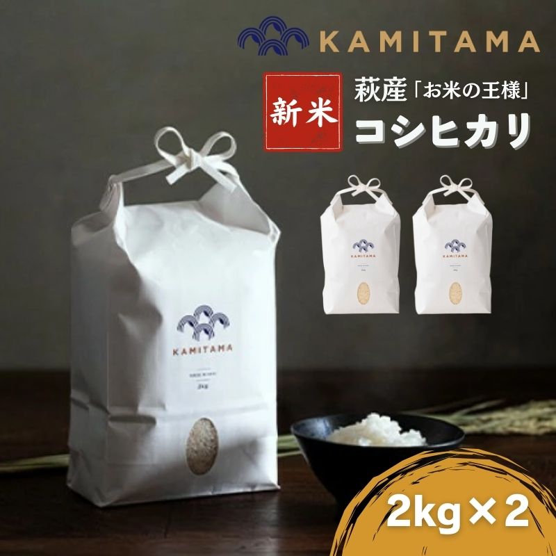 【ふるさと納税】コシヒカリ 令和7年 2kg×2袋 セット 米 コメ こめ 萩産 KAMITAMA