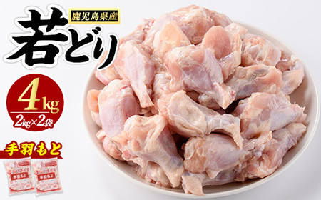 若どり手羽元(4kg)【まつぼっくり】matu-1445R7