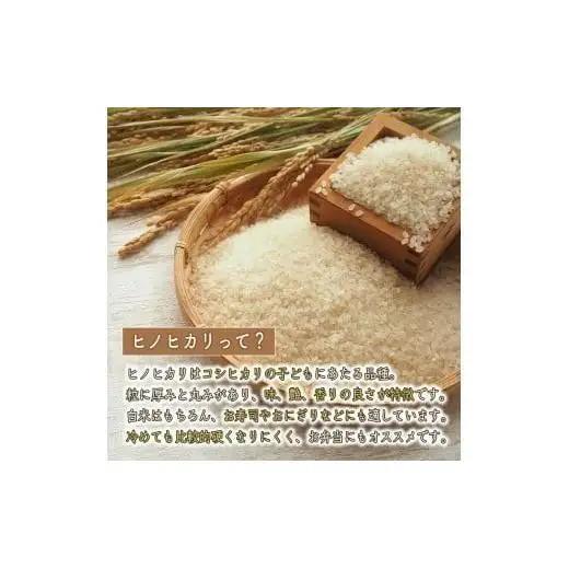 【3か月定期便10kg】【新米予約】令和8年産 ヒノヒカリ 精米 八千種米 お米 10kg 白米 米 ごはん 兵庫 兵庫県産 世界かんがい施設遺産登録『西光寺野疏水路』 お米