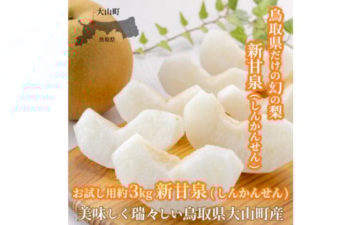 【先行予約】DS-15　新甘泉梨（しんかんせんなし）（３ｋｇ）