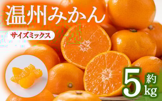 ＜期間限定！2025年10月上旬以降順次発送予定＞＜選べるサイズ＞香川県産 温州みかん(約5kg/サイズミックス) 【man078・man119】【Aglio nero】
