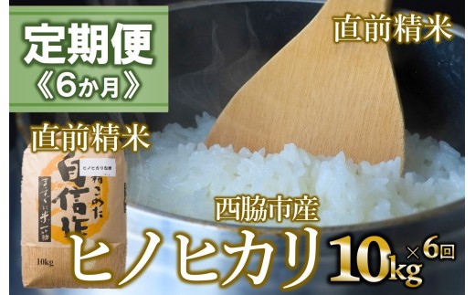 【定期便 6か月 ヒノヒカリ】白米10kg（6か月連続お届け）2025年産  米 お米 米10㎏ お米10㎏ 兵庫県産 ひのひかり ヒノヒカリ 西脇市産 定期 連続 6回 6か月 2025年産 精米 便利 らくちん ラク