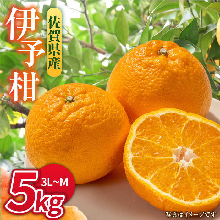 【ふるさと納税】【1月中旬〜2月下旬発送】甘酸っぱくておいしい！佐賀県産 みかん 「伊予柑（いよかん）」5kg ミカン みかん 早生ミカン 吉野ヶ里町/リエンサーク [FCC008]