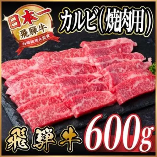 飛騨牛 カルビ(焼肉用) 600g_カルビ_【配送不可地域：離島】【1543783】