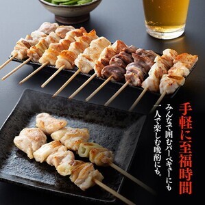 【令和7年3月発送分】焼き鳥 人気部位串セット＆ネギ間串セット 計54本 【 肉 鶏 鶏肉 国産 鶏肉 九州産 鶏肉 宮崎県産 鶏肉  若鶏 鶏肉 焼鳥 鶏肉 やきとり 鶏肉 BBQ 鶏肉 バーベキュ