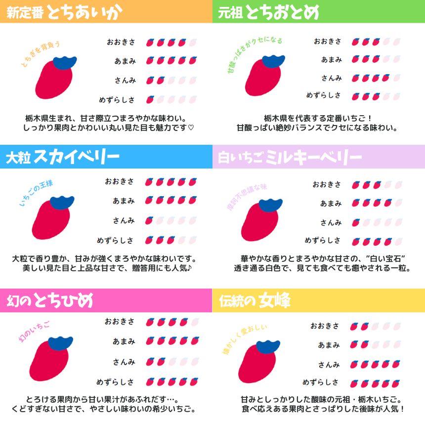 【2027年先行予約】大粒スカイベリー×白いちごミルキーベリー 食べ比べセット 560g